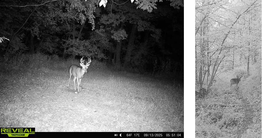 Trail-Cam Trail Cam - Briggs Outdoor Events